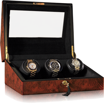 Orbita Siena 3-Unit Watch Winder in Burlwood - Watchwindersplus